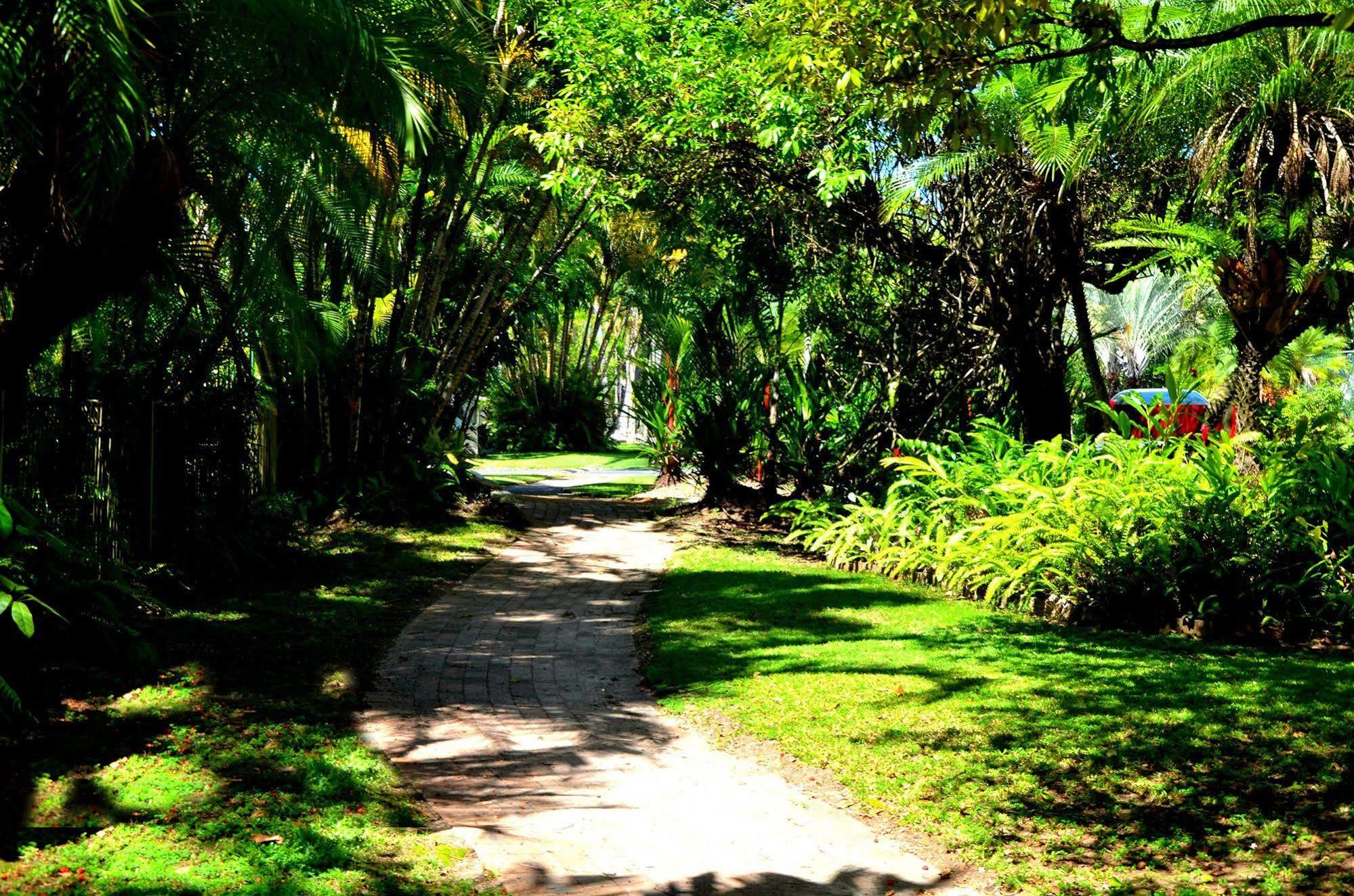 Beach Terraces Port Douglas Dış mekan fotoğraf